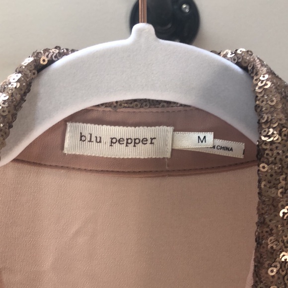 Blu Pepper Sheer Glitter Blouse - Picture 8 of 9